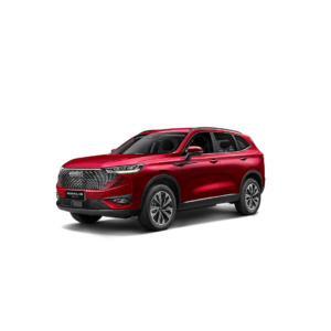Haval H6 PHEV19