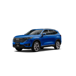 Haval H6 PHEV34